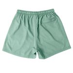 Seafoam Shorts